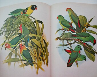 Aunt Hattie's Library for Boys,